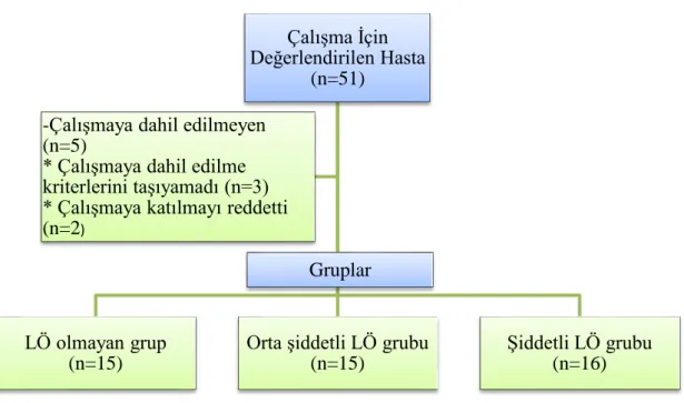 Şekil 3.1. Hasta akış şeması 