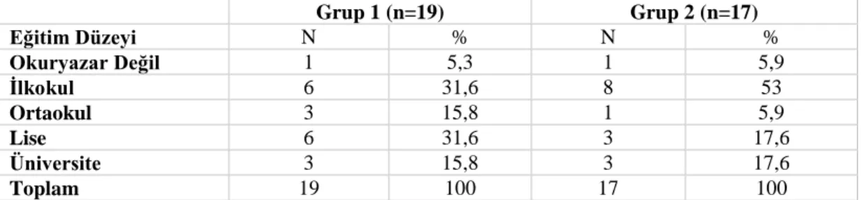 Tablo 4.2. Katılımcıların Eğitim Durumları (n=36)  Grup 1 (n=19)  Grup 2 (n=17)  Eğitim Düzeyi  N  %  N  %  Okuryazar Değil  1  5,3  1  5,9  İlkokul  6  31,6  8  53  Ortaokul  3  15,8  1  5,9  Lise  6  31,6  3  17,6  Üniversite  3  15,8  3  17,6  Toplam  1