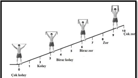 Şekil 3.2. OMNI-RES EB Skalası. 