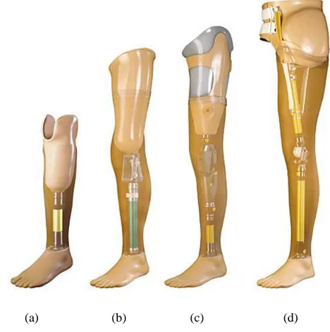 Figure  2.1.  Modular  prosthesis  a-modular  below  knee  prostheses,  b-modular  knee  disarticulation  prostheses,  c-modular  above  knee  prosthesis,  d-modular  hip  disarticulation prosthesis (9, 38, 39, 40, 42) 