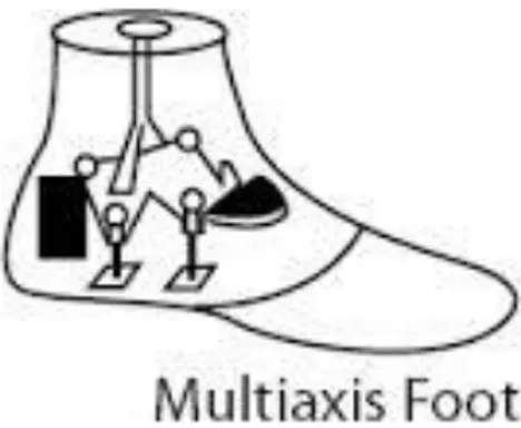 Figure 2.8. multiaxis foot (9, 40) 