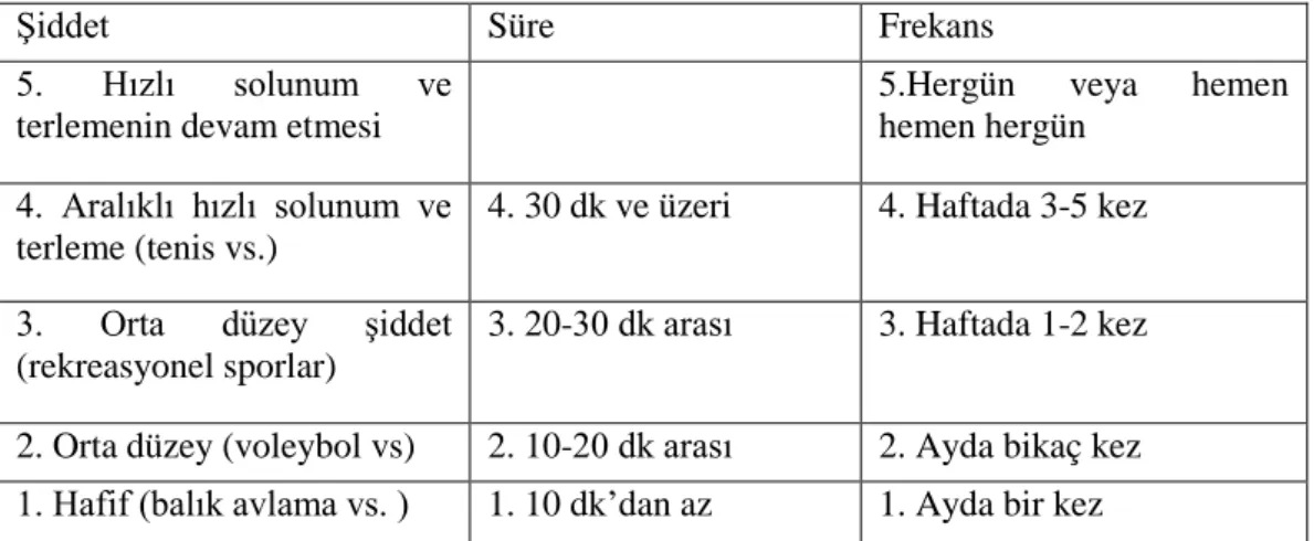 Tablo 3.1. Fiziksel aktivite indeksi 