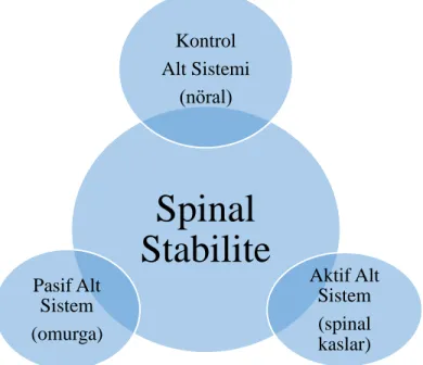 Şekil 2.2.1. Panjabi’nin spinal stabilite modeli- Panjabi (16)’den alınmıştır 