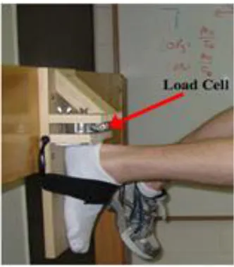Figure 2.10. Example for the measurement of hamstring force with load cell  placed  on the back side of calcaneus 