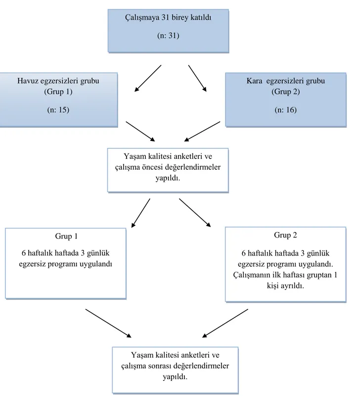 Tablo 3.1. Araştırma Akış Diyagramı 