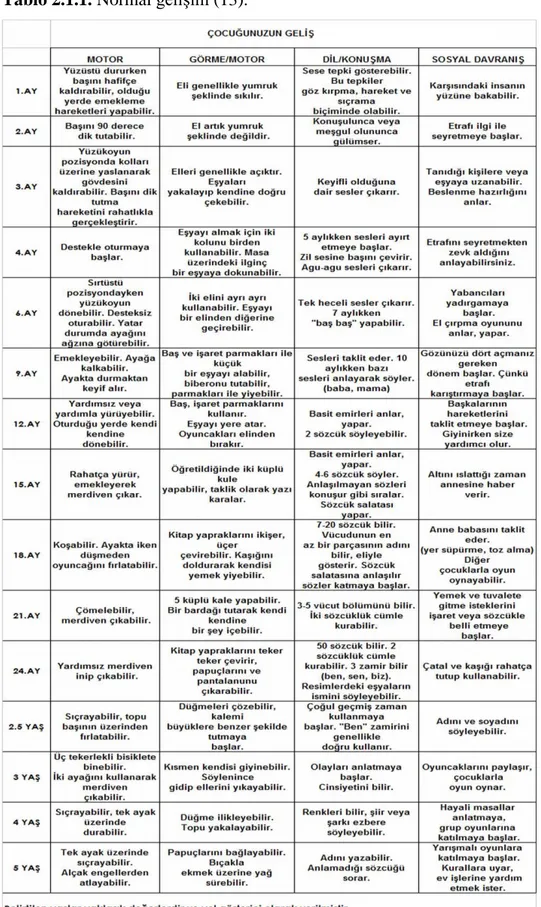 Tablo 2.1.1. Normal gelişim (13).