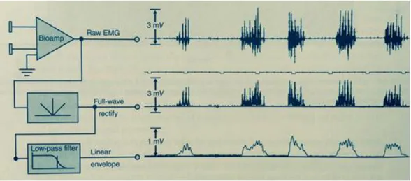Şekil 2.7.   Ham sinyal (raw signal) ve  sinyalin tam dalga rektifikasyon (full-wave 