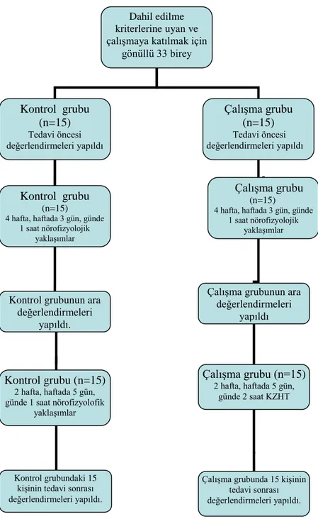 Şekil 3. 1. Çalışmanın Akış Şeması 