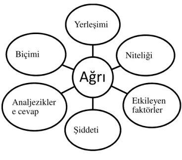 Şekil 2.7. Ağrı Matriksi (72) 