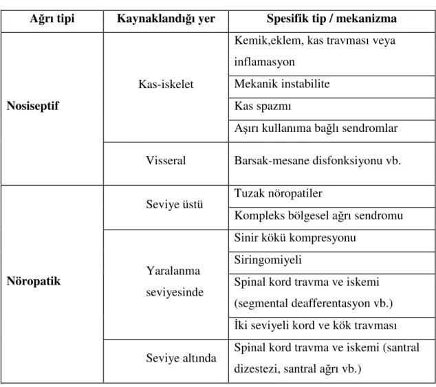 Tablo 2.4. Uluslararası Ağrı Araştırmaları Teşkilatı (123). 