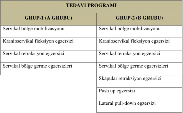 Tablo 3.1. Çalışmaya katılan hastalara verilen egzersizler  TEDAVİ PROGRAMI 
