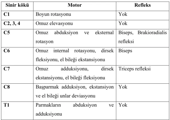 Tablo 2.1. Sinir kökü, myotom ve refleks alanları (77) 