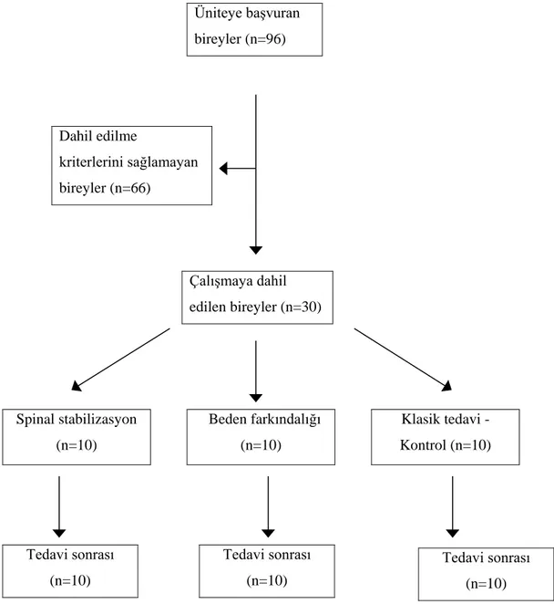 Şekil 4.13. Hasta akış diyagramı Çalışmaya dahil edilen bireyler (n=30) Üniteye başvuran bireyler (n=96) Spinal stabilizasyon (n=10) 