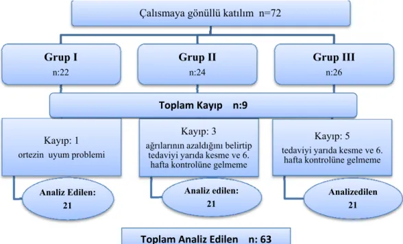Şekil 3.1. Gruplara ait katılım ve takipler sonucunda programı tamamlayıp analize  alınan birey sayıları  