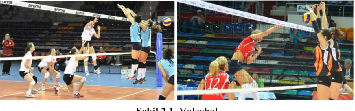 Şekil 2.1. Voleybol 