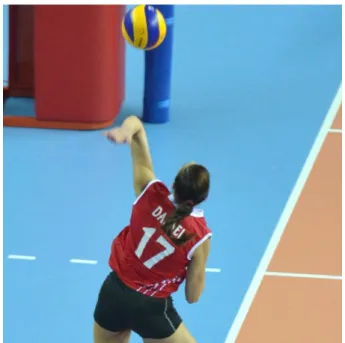 Şekil 2.2. Servis 