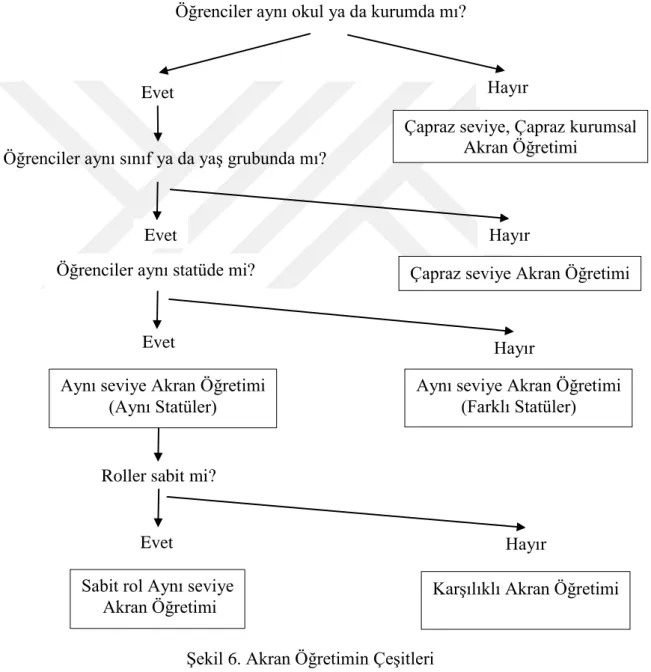 Şekil 6. Akran Öğretimin Çeşitleri 