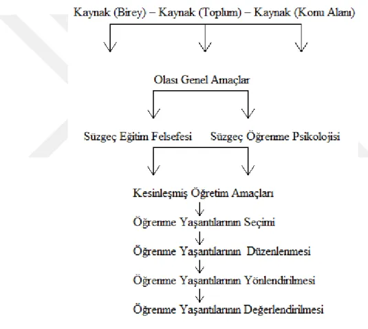 Şekil 8. Tyler Modeli’nin şematik gösterimi 