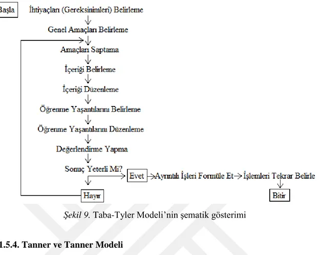 Şekil 9. Taba-Tyler Modeli’nin şematik gösterimi 