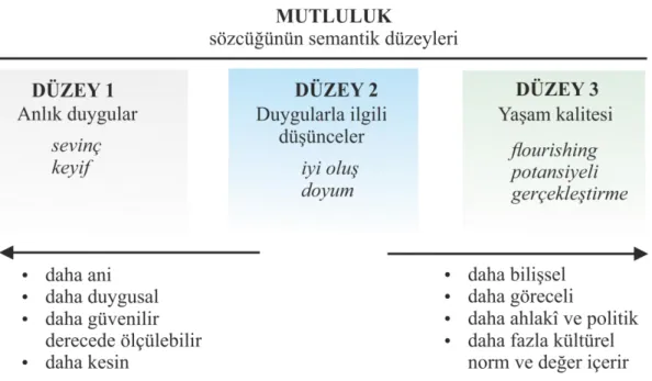Şekil 1. Mutluluk sözcüğünün semantik düzeyleri (Nettle, 2005:16-18) 