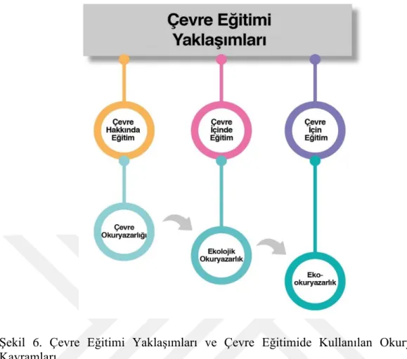 Şekil  6.  Çevre  Eğitimi  Yaklaşımları  ve  Çevre  Eğitimide  Kullanılan  Okuryazarlık  Kavramları 