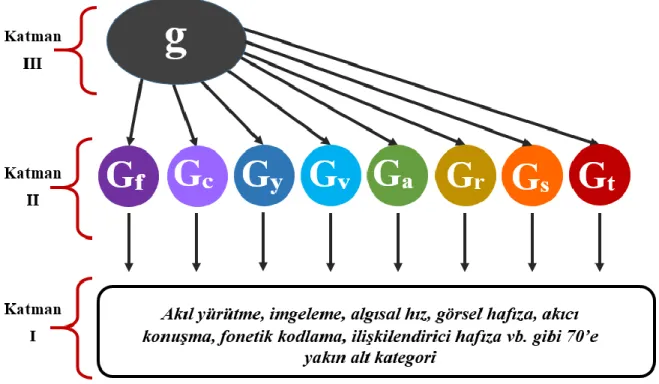 Şekil 8. Cattell-Horn-Carroll kuramı 