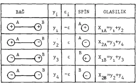 Tabla  1-1.  Spin  ve  bag1ar~n  §ekil1enme  alas~l~g~.  BAG  y.  E.  SP1N  OLASILIK  1  1  ~B  +  +  Y,  -E  \:~  X  -Y  +y  1A- 1  2  ~B  Y2  E  A  ()  X2A=Y3+Y4  ~B -+  Y3  E  B  8  X  =y  +y 1B  1  3  &amp;---0 B  Y4  -E  B  0  X 2B =Y2+Y 4  Tabladaki 