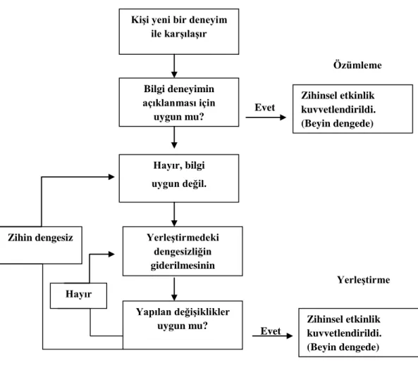 ġekil 8. Zihinsel Düzenleme (Soylu, 2004:95). 