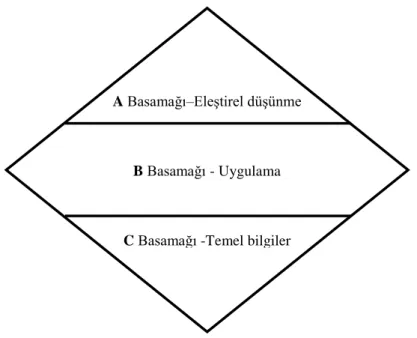 ġekil 11. Basamaklı Öğretim Programı (Nunley, 2004:54). 