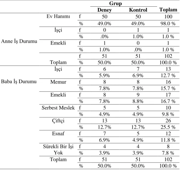 Tablo 16: Deney ve Kontrol Gruplarının Anne ve Baba ĠĢ Durumlarına Göre                        Dağılımları 