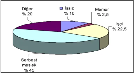 Şekil 10: Öğrencilerin Baba Meslek Durumu Frekans Grafiği Ev hanımı% 97,5Diğer % 2,5Diğer % 20İşçi% 22,5Serbest meslek % 45İşsiz% 10Memur % 2,5