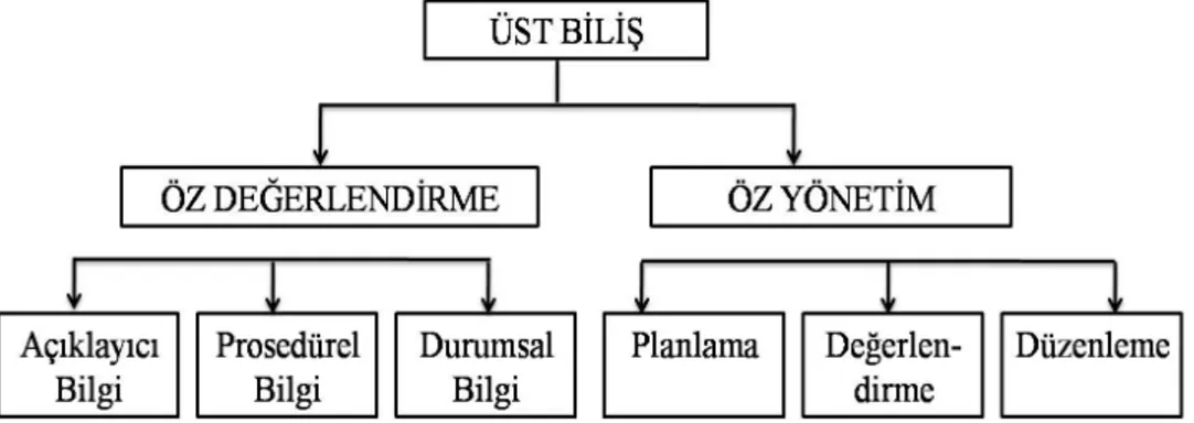 Şekil 4. Paris ve Winograd’ın Üst Biliş Modeli (Kaynak: Akın, 2006: 111) 