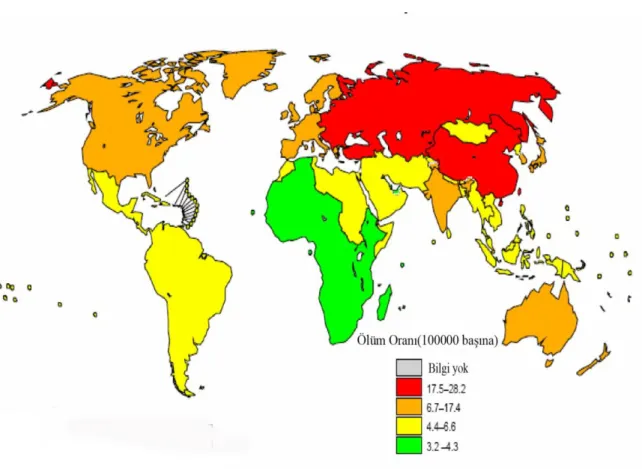 ġekil  2. Küresel  Ölçekte  Ġntihara  Bağlı Ölüm  Dağılımları,  (DSÖ, 2002, The  Injury Chart  Book: 68) 
