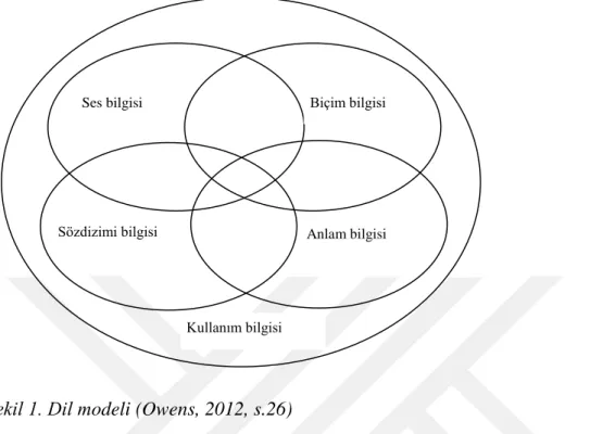 Şekil 1. Dil modeli (Owens, 2012, s.26) 