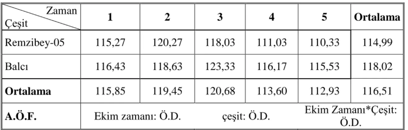 Tablo 4.2. Bitki boyuna  ilişkin ortalama değerler çizelgesi  Zaman  Çeşit  1  2  3  4  5  Ortalama  Remzibey-05  115,27  120,27  118,03  111,03  110,33  114,99  Balcı  116,43  118,63  123,33  116,17  115,53  118,02  Ortalama  115,85  119,45  120,68  113,6