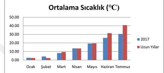 ġekil 3.1. Deneme yılları ve uzun yıllar ortalamasına ait ortalama sıcaklık (°C) değerlerine iliş-