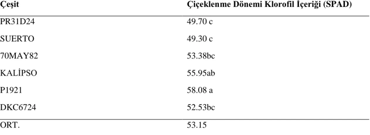 Tablo 4.4. Mısır çeşitlerinde çiçeklenme dönemi klorofil içeriği ortalama değerleri ve AÖF (0.05)  testine  