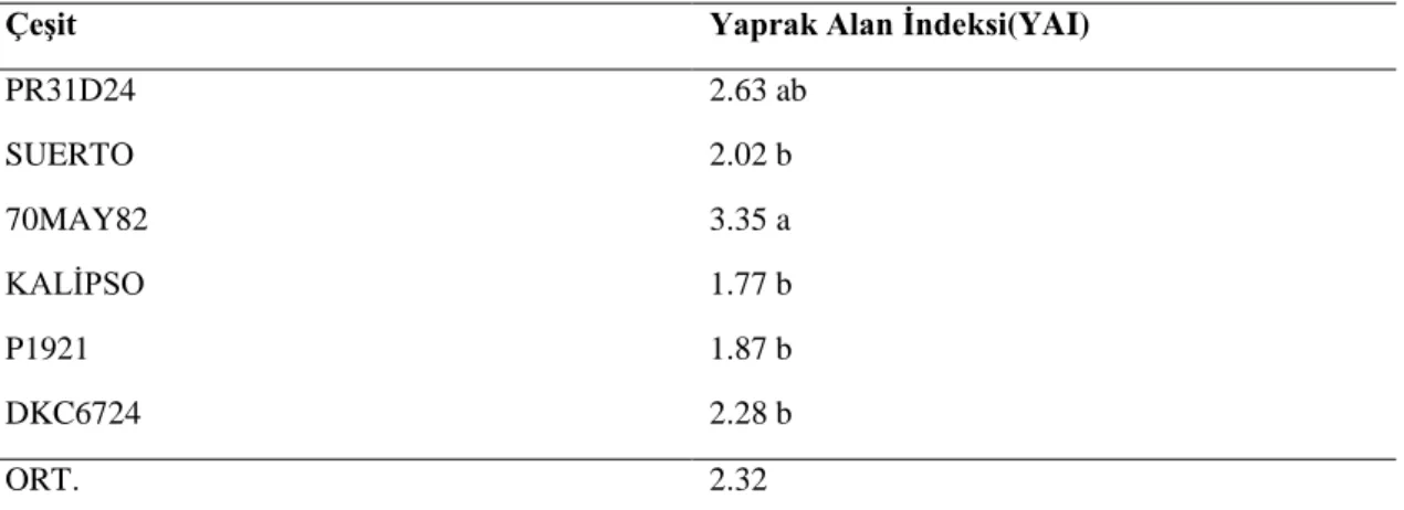 Tablo 4.11. Mısır çeşitlerinde yaprak alan indeksi ortalama değerleri ve AÖF (0.05)  testine göre oluşan 
