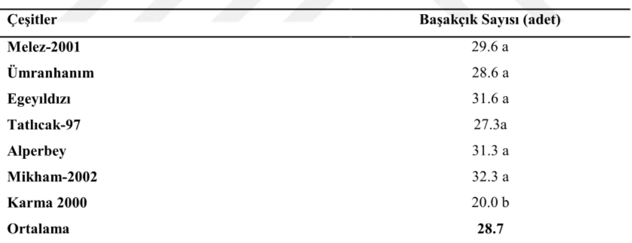 Çizelge  4.9.  incelendiğinde  görüleceği  gibi,  çeĢitlerin  baĢakçık  sayısı  bakımından  oluĢan  fark  istatistik  bakımdan  %1  düzeyinde  önemli  derecede  farklılıklar ortaya çıkmıĢtır