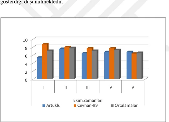 Şekil 4.2. Araştırmada ele alınan başak boyu grafiği