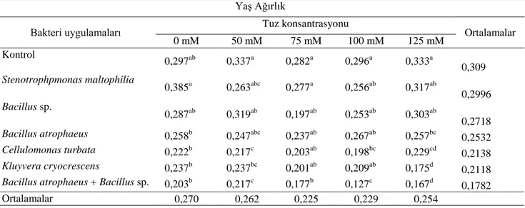 Çizelge  4.5.  Farklı  bakteri  suĢları  ile  aĢılanan  Ceyhan  99  buğday  çeĢidinde  farklı  tuz  konsantrasyonlarında yaĢ ağırlık oranı verilerinin ortamalarına ait varyans analizi sonuçları 