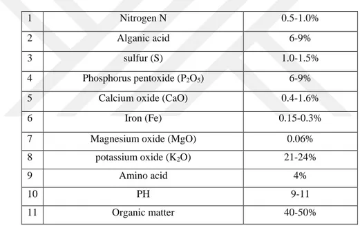 Table 3.1. Components of seaweed (Alga 600), this component is writing on the fertilizer plastic container 