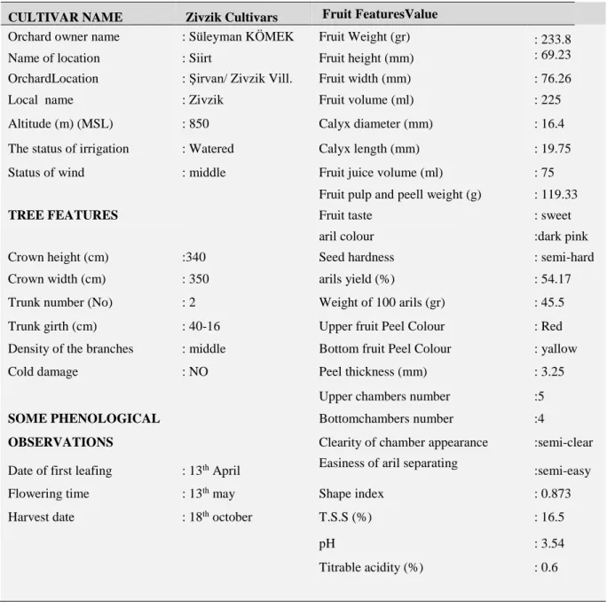 Table 4.4. Genotype fruit, flowering and tree characteristics of Zivzik variety. 