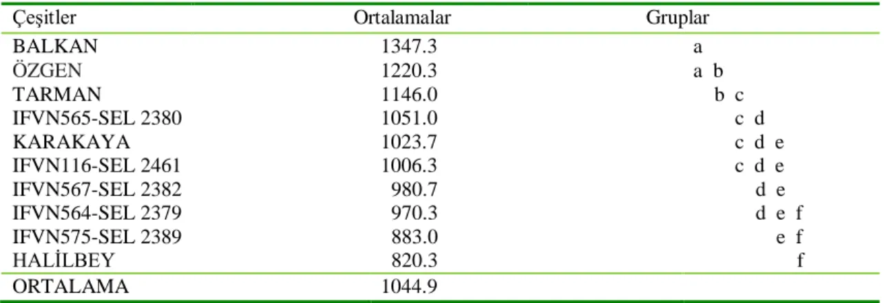 Tablo 4.4.  Koca fiğ çeşitlerinin yeşil ot verimine (kg/da) ait ortalamalar ve gruplandırmaları 