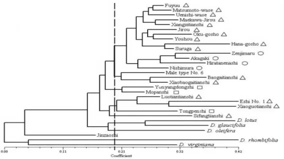 Şekil 2.5. 30 tane Japom tarbzon genotiplerine ait Neighboor joining dendogramı (Guo and Luo, 2011)
