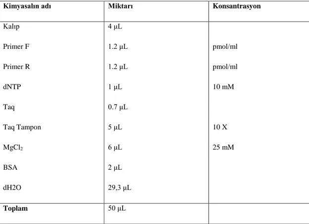 Tablo 3.3. PZR'de kullanılan kimyasallar 