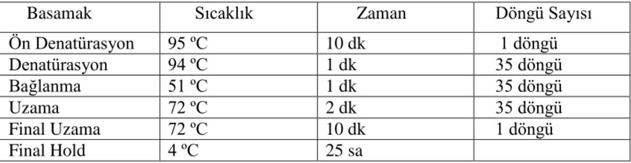 Tablo 3.5. ITS primer için kullanılan PZR programı 