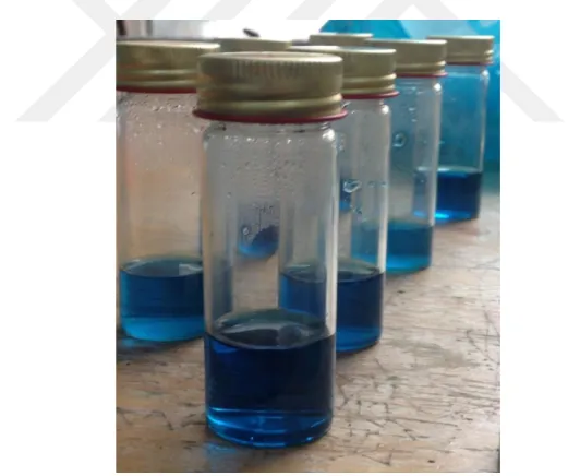 Figure 3.3. Rappaport-vassiliadis (RV) enrichment broth 