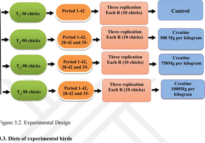 Figure 3.2. Experimental Design  3.3. Diets of experimental birds 
