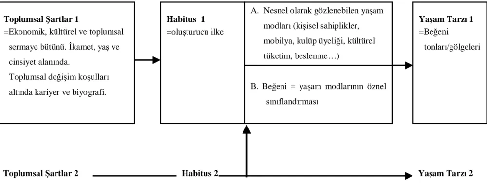 Şekil 2.1. Bourdieu tarafından kullanılan Habitus, Beğeni ve Yaşam-Tarzı kavramları (216).